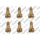 Vaillant - 111979 - Formschraube, (x5) Vaillant-Nr. 111979