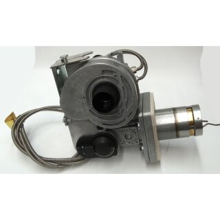 Daikin - 5011816 - Öl-Brenner BLB 15e - HL 60 NG für ROTEX A1 bis BJ 2018   - EAN: 4024749088903