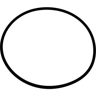 Wolf - 8905738 - O-Ring 132 x 4 Viton für COB