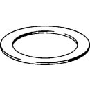 Viega - 125608 - Spannscheibe 9952-571 in 48x68mm Stahl verzinkt