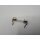 Remeha - 7750616 - Sicherung 250V T6,3A