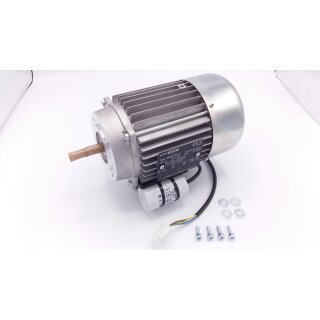 Remeha - 7721849 - Öl Pumpe Motor