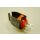 Remeha  - 95362441 - Temperaturfühler T7335D 1016