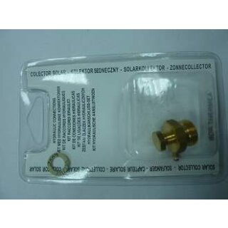 Remeha  - 300026574 - Entlüfter C 250
