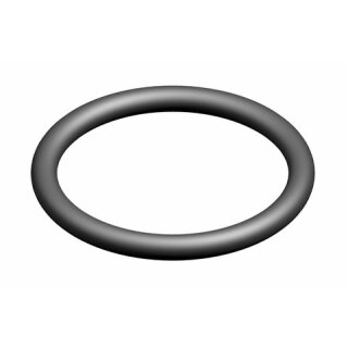 Junkers - 87102050560 - JU O-Ring (10x)
