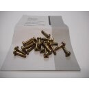 Remeha  - S100053 - Schraube Spezial M4 x 16 (x20)