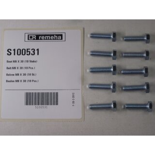Remeha  - S100531 - Bolzen M8 x 30 (10x)