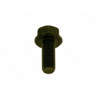Junkers - 87185755000 - SIEGER 6kt-Schraube DIN6921 M10x25 (10x)