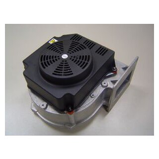 Remeha  - S57770 - Gebläse G1G170-Ab53-29 5/6 El