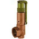 Heimeier - 5363020 - PDE Sicherheitsventil DSV25-2,0 DGH