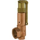Heimeier - 5365045 - PDE Sicherheitsventil DSV 40-4,5 DGH