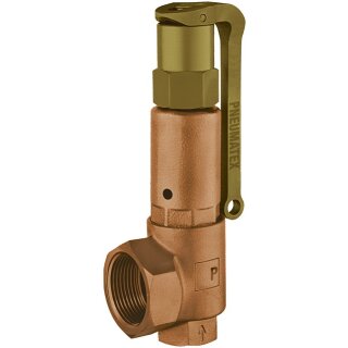 Heimeier - 5366080 - PDE Sicherheitsventil DSV 50-8,0 DGH
