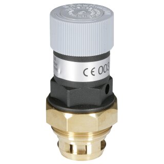 Resideo - A160-1AA - SV-Austauschsatz A160  1 ", 6 bar